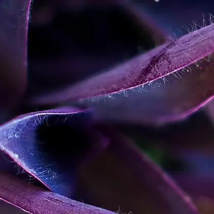 Test hero image